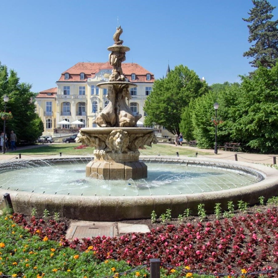 jazykové kurzy teplice