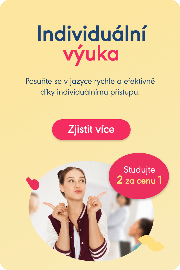 Individuální výuka