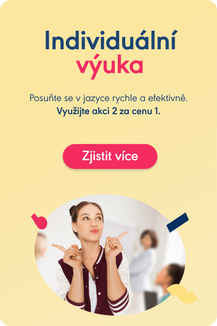 Individuální výuka